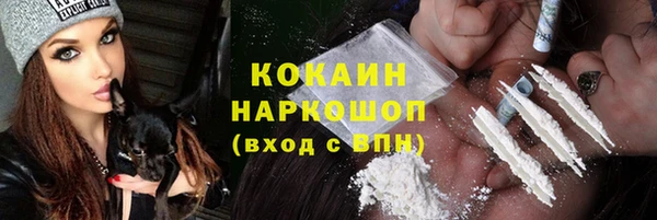 твердый Алексин