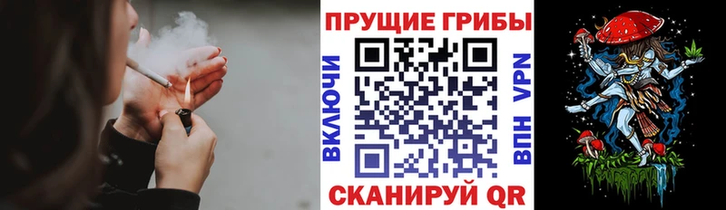 Галлюциногенные грибы Magic Shrooms  цены   Алупка 